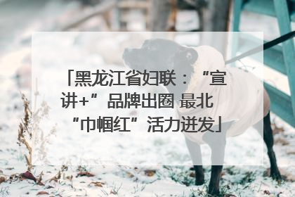 黑龙江省妇联：“宣讲+”品牌出圈 最北“巾帼红”活力迸发
